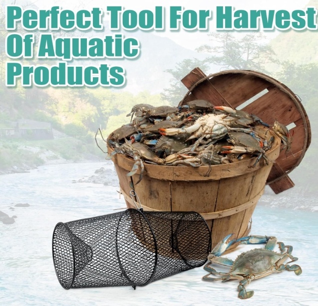 Metal Crawfish Trap Lobster Tr - Fishing Equipment Market 评论和价格