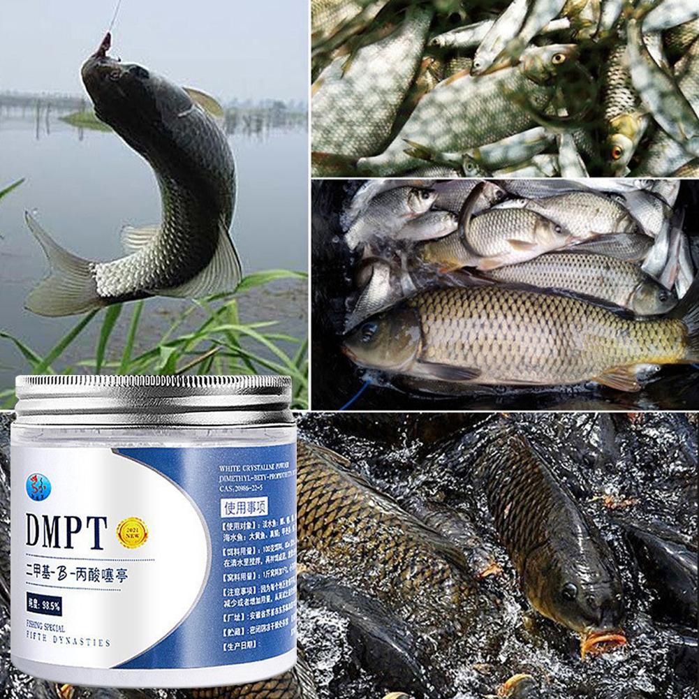 50g Real DMPT High Purity Fish - Fishing Equipment Market 评论和价格